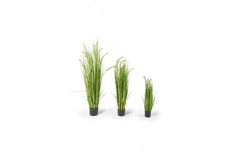 Deko Pflanzen Kunstpflanzen