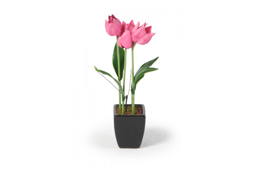 Kunst Tulpen im Topf Lou