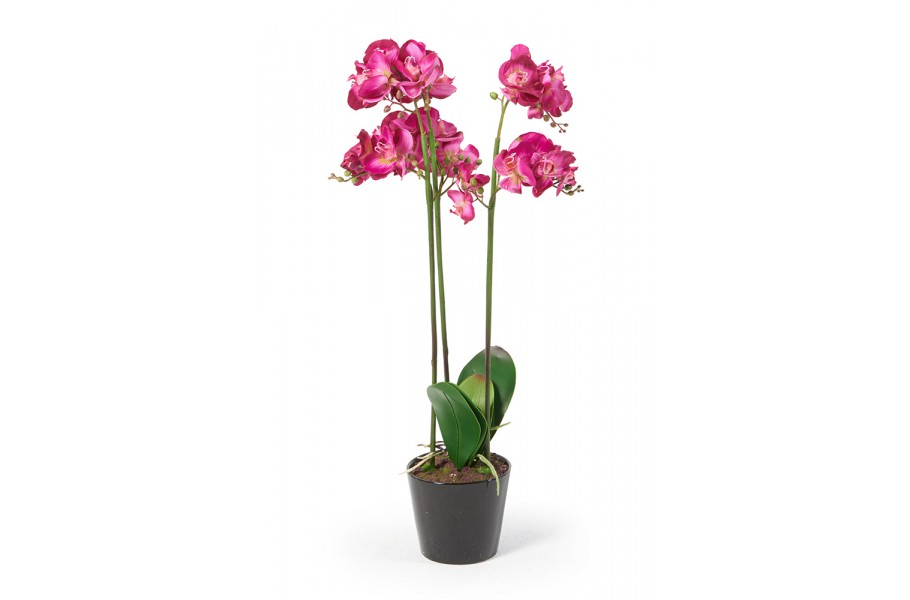 Orchideen Kunstpflanzen - Clara pink 80cm