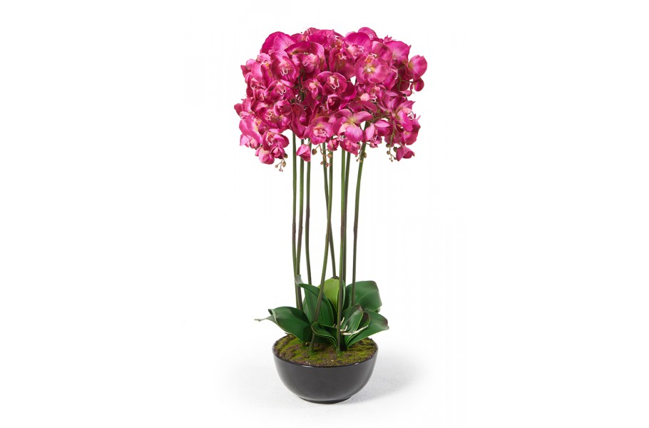 Orchideen Maria 83 cm pink kunststoff