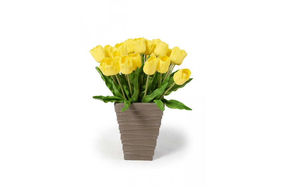 Tulpen gelb Tulpenstrauss