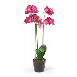Orchideen pink Clara 80cm