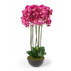 Orchideen pink Maria 83cm