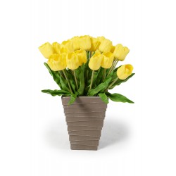 Tulpen 7 Stück gelb