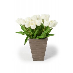 Tulpen 7 Stück weiss