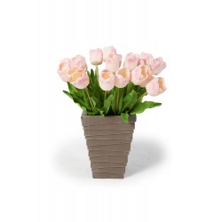 Tulpen 7 Stück rosa