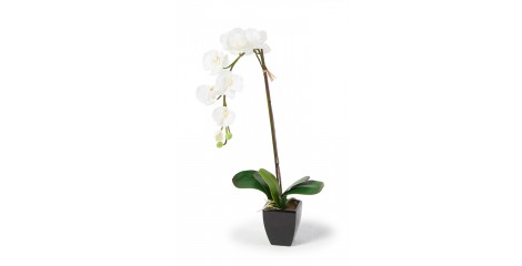 Orchideen Kunstblumen -  Kunstpflanze weiss Madeleine