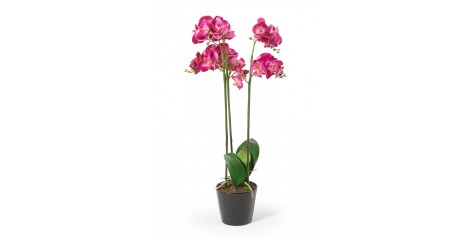 Orchideen Kunstpflanzen - Clara pink 80cm