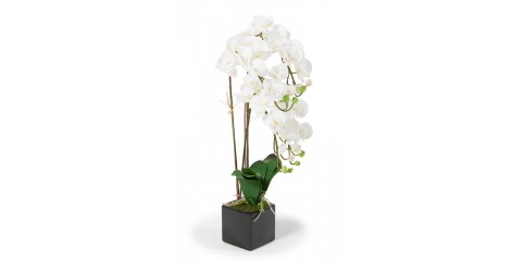 Orchideen Kunstpflanzen Juliette weiss