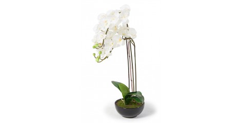 Orchideen schöne künstliche Blumen Louise weiss